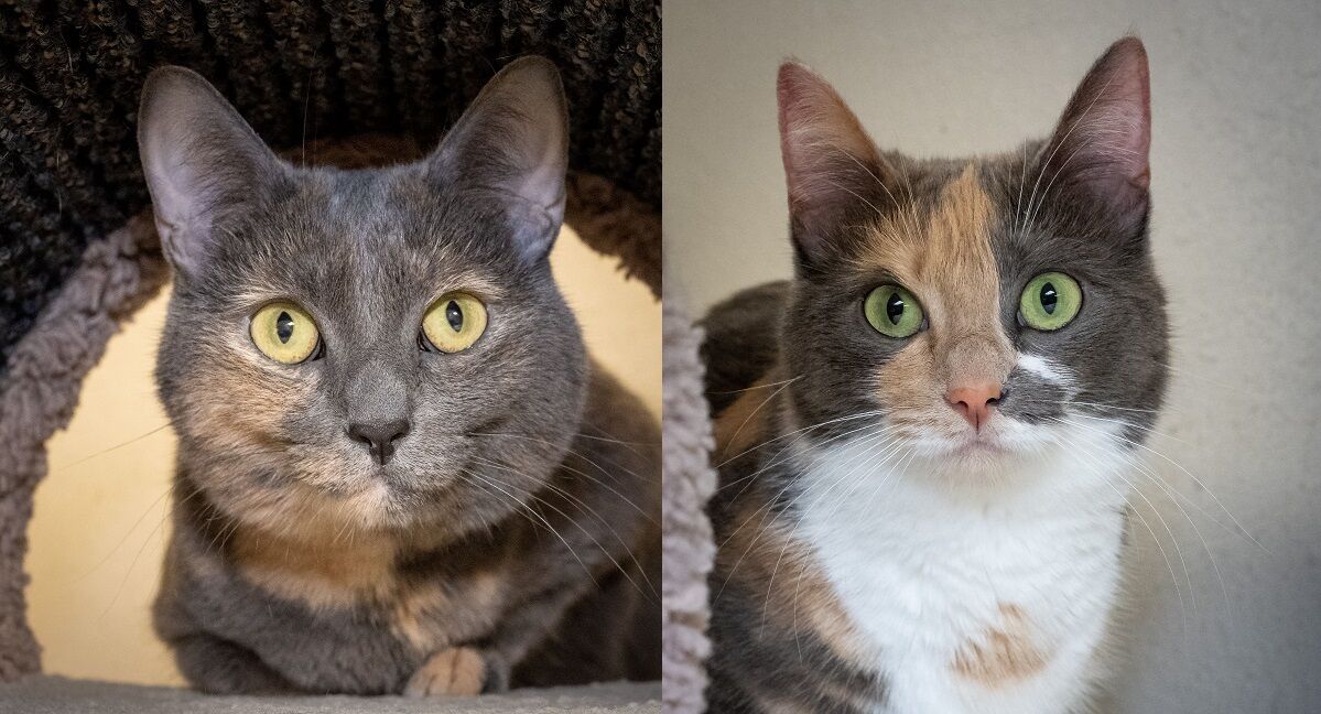 Gala and Luca